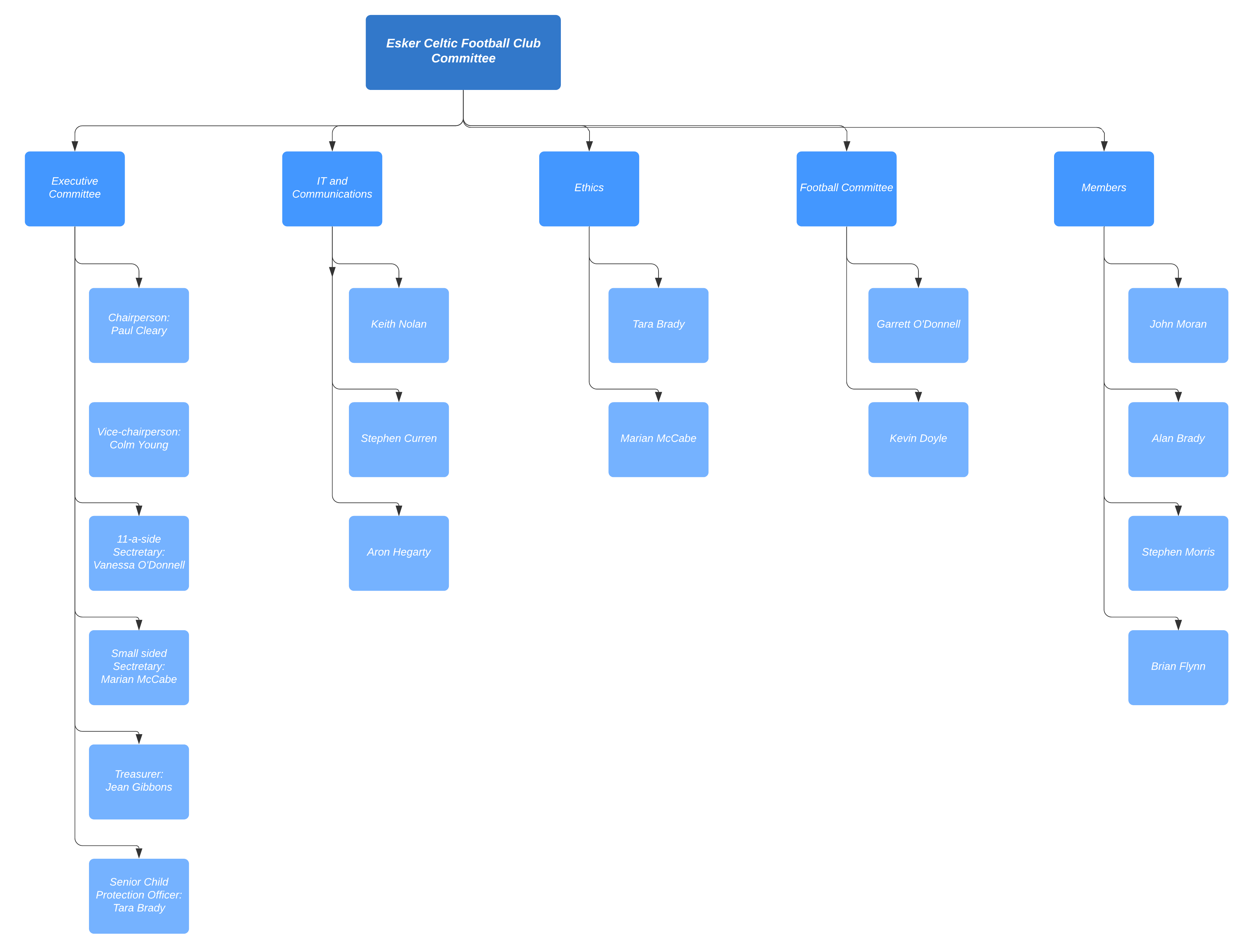 Committee – Esker Celtic Football Club